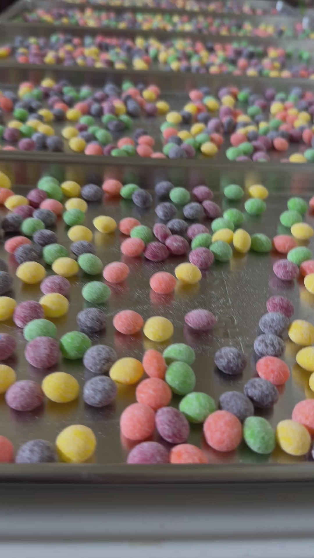 Video of colorful spherical candies covered with sour candy dust siting in freeze dryer trays ready to be cooked in the freeze dryer.